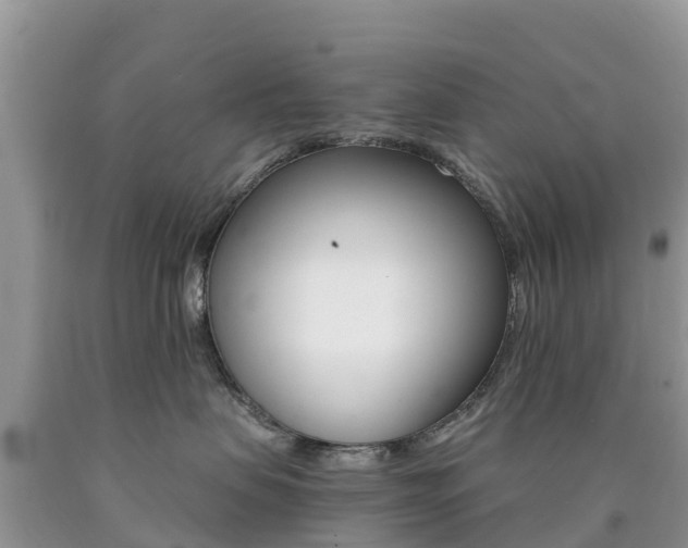 X0000090720479200707201018