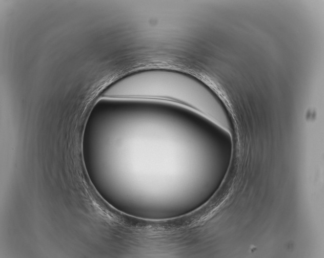 X0000090720481200707201017