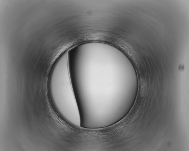 X0000090720482200707201017