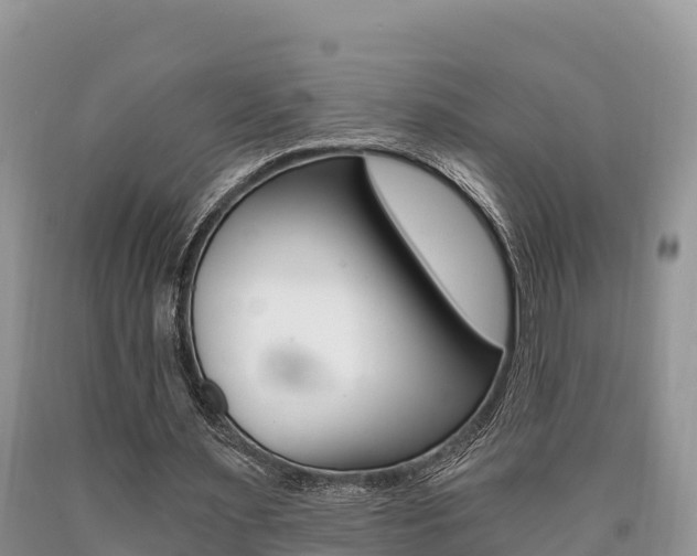 X0000090720483200707201017