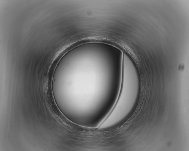 X0000090720484200707201017