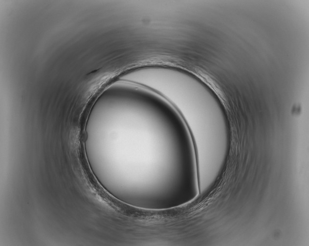 X0000090720485200707201017