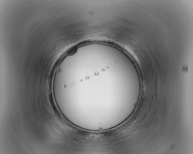 X0000090720487200707201017