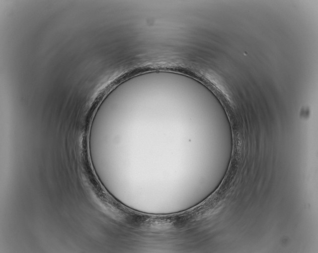 X0000090720491200707201017