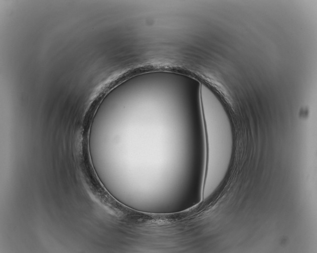 X0000090720492200707201017
