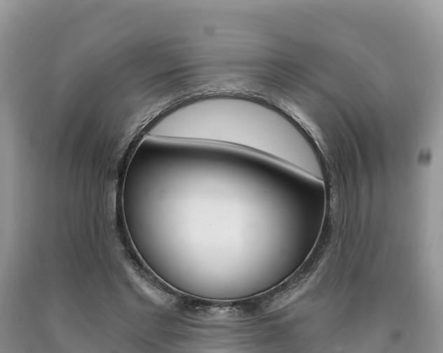 X0000090720493200707201017