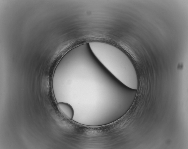 X0000090720494200707201017