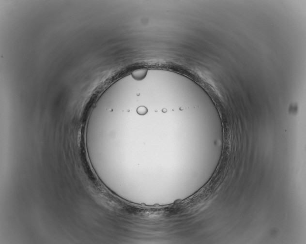 X0000090720495200707201017