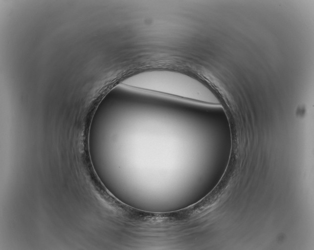X0000090720497200707201017