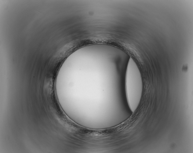 X0000090720498200707201017