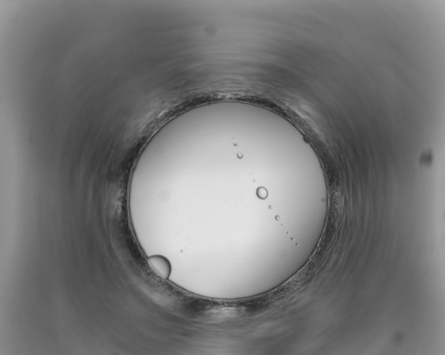 X0000090720499200707201017