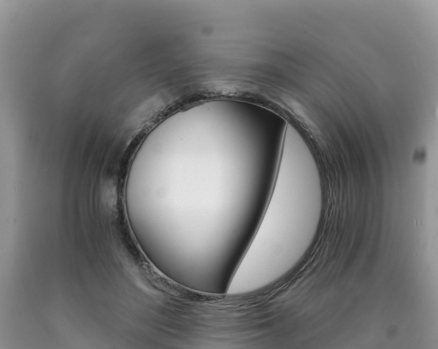 X0000090720500200707201017