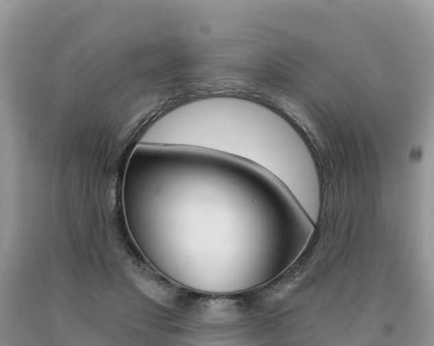 X0000090720501200707201017
