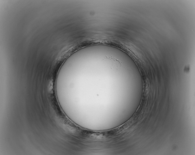 X0000090720502200707201017