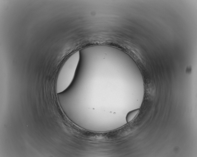 X0000090720503200707201017