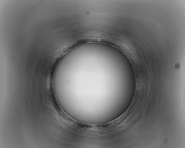X0000090720504200707201017