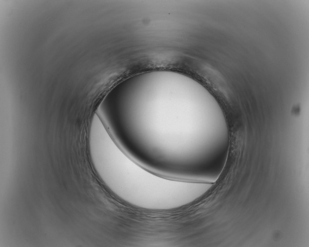 X0000090720505200707201017