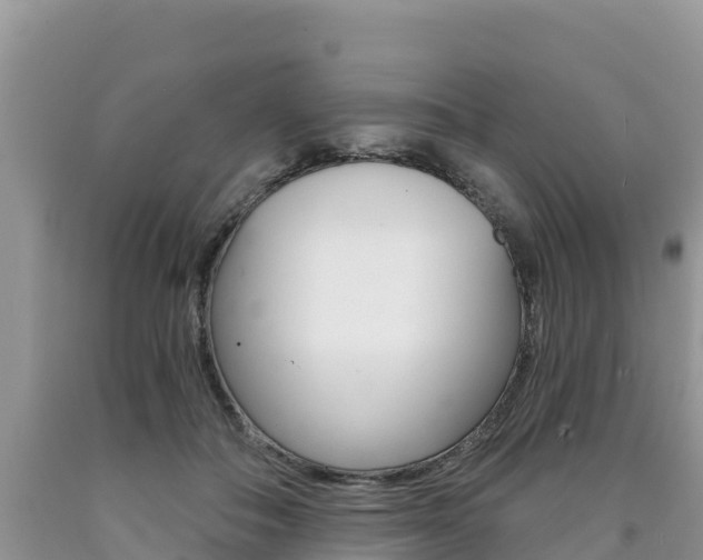 X0000090720506200707201017