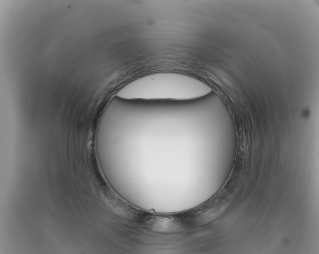 X0000090720507200707201017