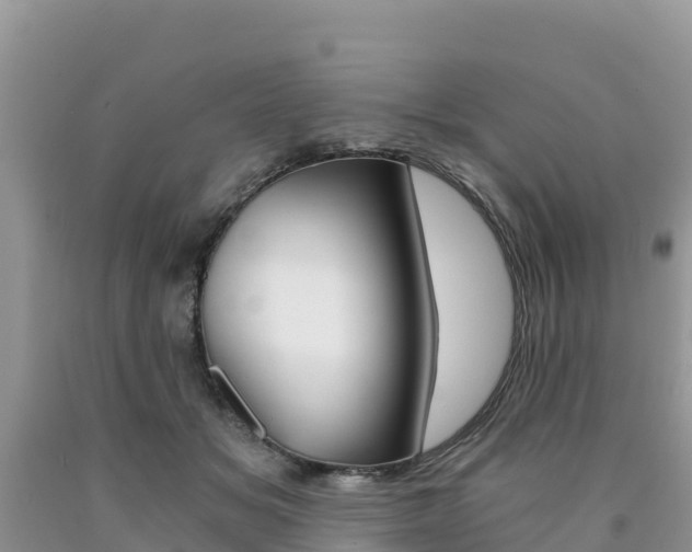 X0000090720509200707201017