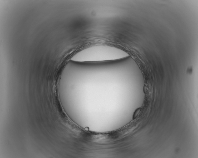 X0000090720511200707201016