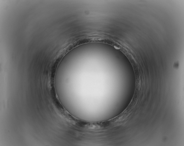 X0000090720512200707201016