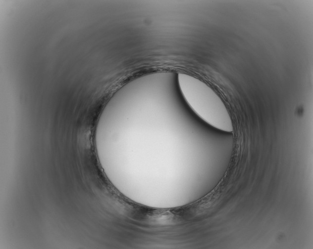 X0000090720514200707201016