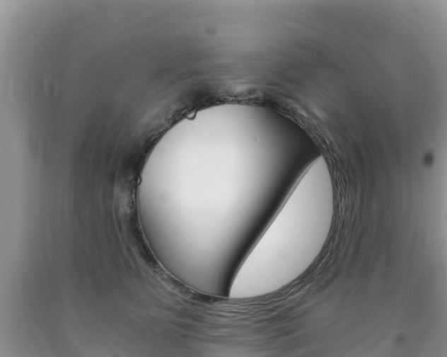 X0000090720515200707201016