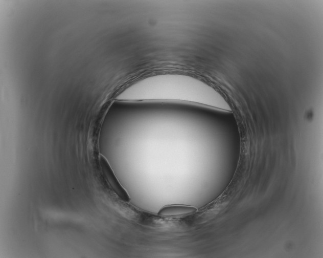 X0000090720516200707201016
