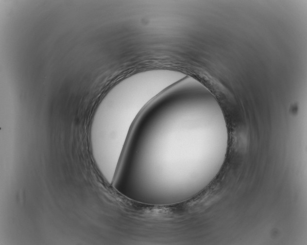X0000090720517200707201016
