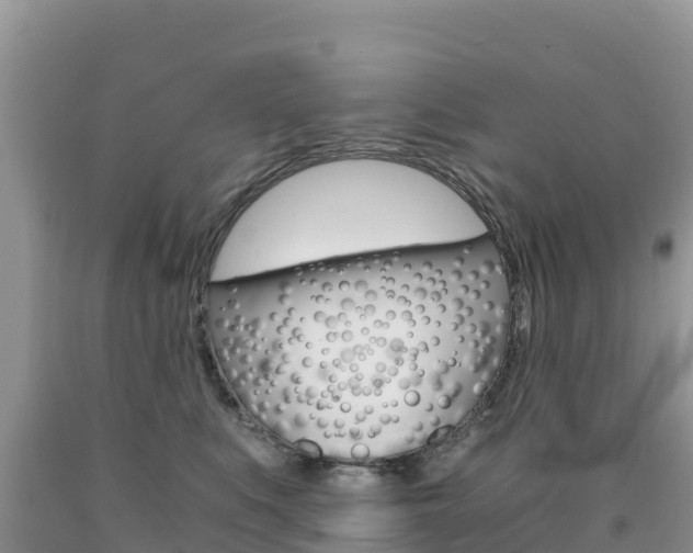 X0000090720519200707201016