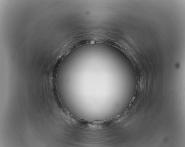 X0000090720520200707201016