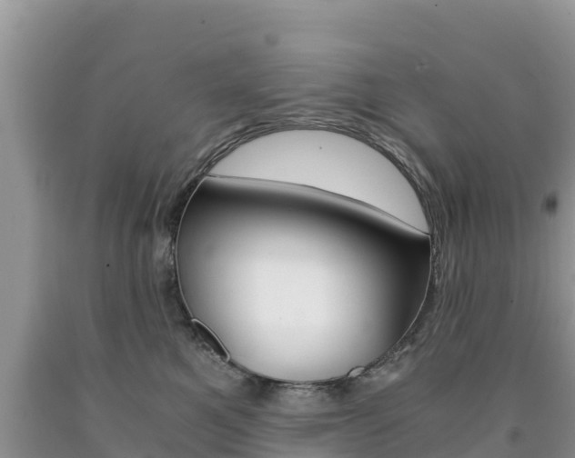 X0000090720521200707201016