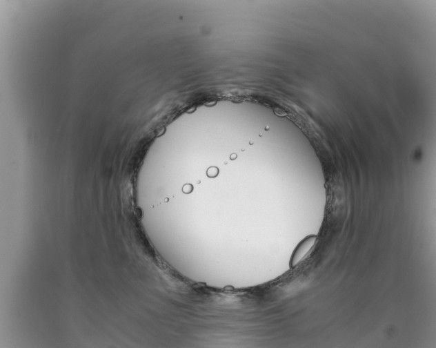 X0000090720523200707201016