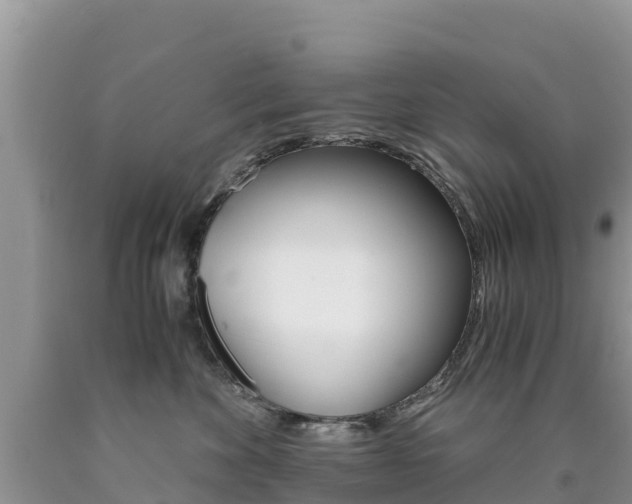 X0000090720524200707201016