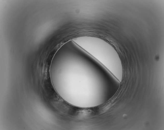 X0000090720525200707201016