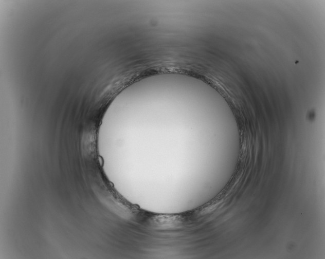 X0000090720526200707201016