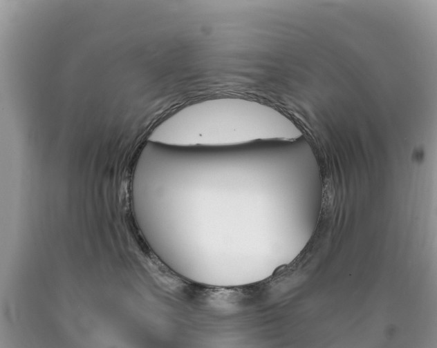 X0000090720527200707201016