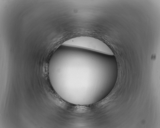 X0000090720528200707201016