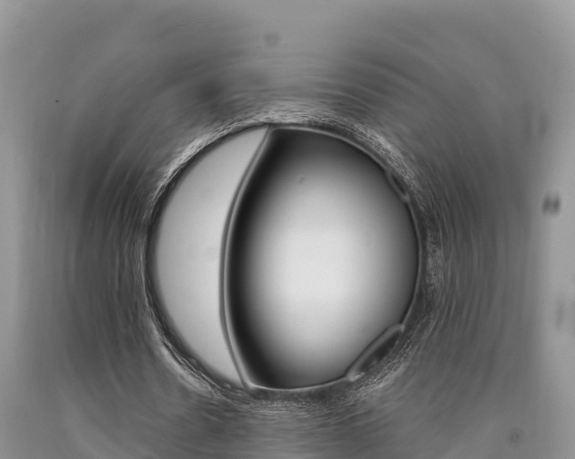 X0000090720530200707201016