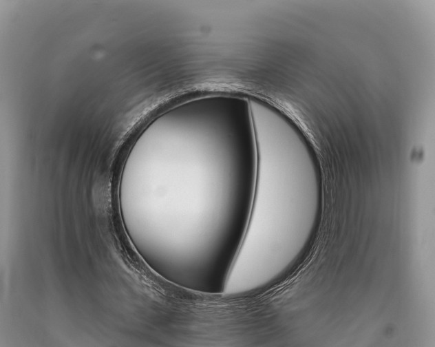 X0000090720531200707201016