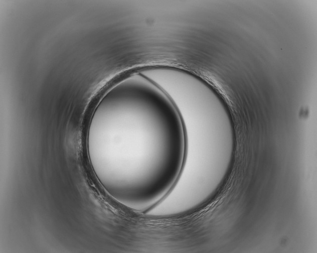 X0000090720532200707201016
