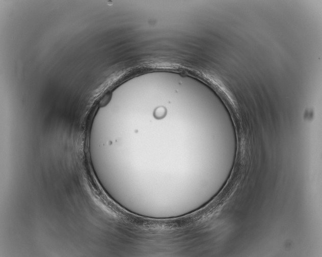 X0000090720533200707201016