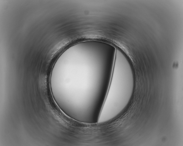 X0000090720535200707201016