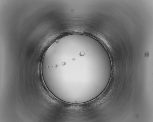 X0000090720537200707201016