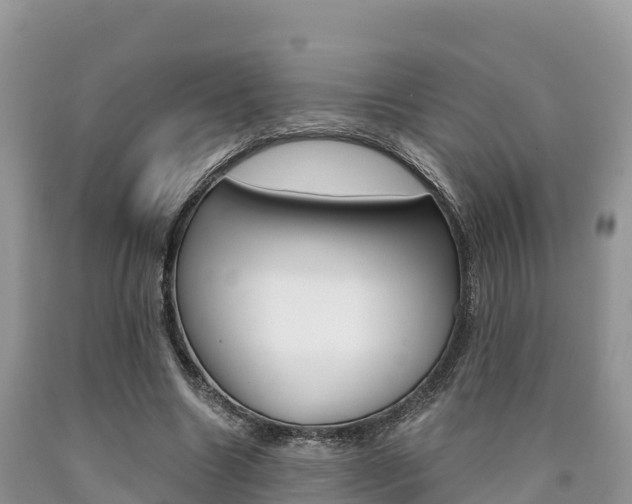 X0000090720538200707201016