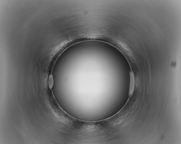 X0000090720540200707201016