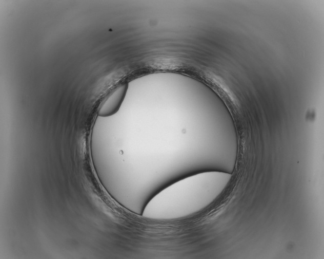 X0000090720541200707201016