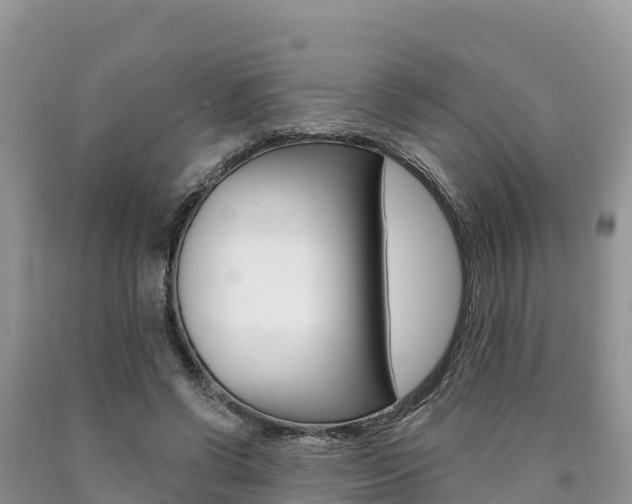 X0000090720542200707201016