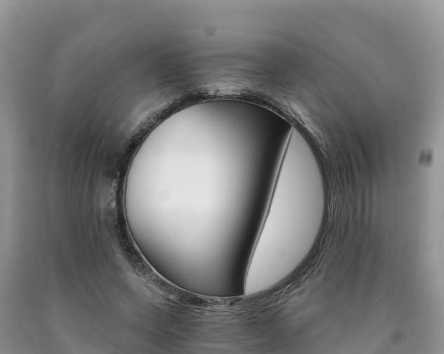 X0000090720543200707201016